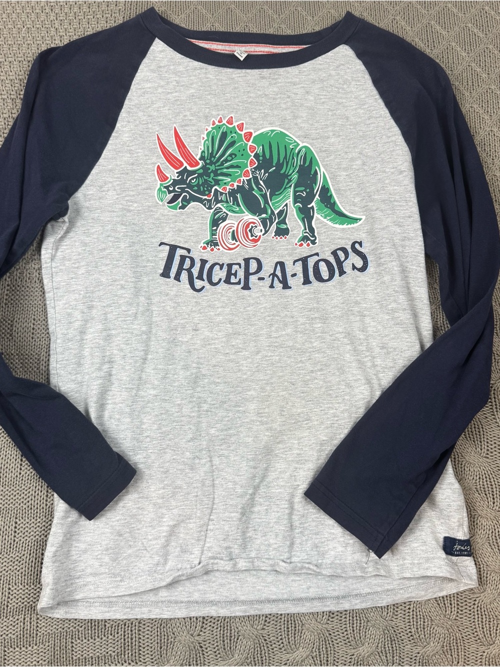 Joules Boys Youth Tricep-A-Tops Dinosaur Graphic Raglan Shirt ~ 11/12 - Picture 1 of 11